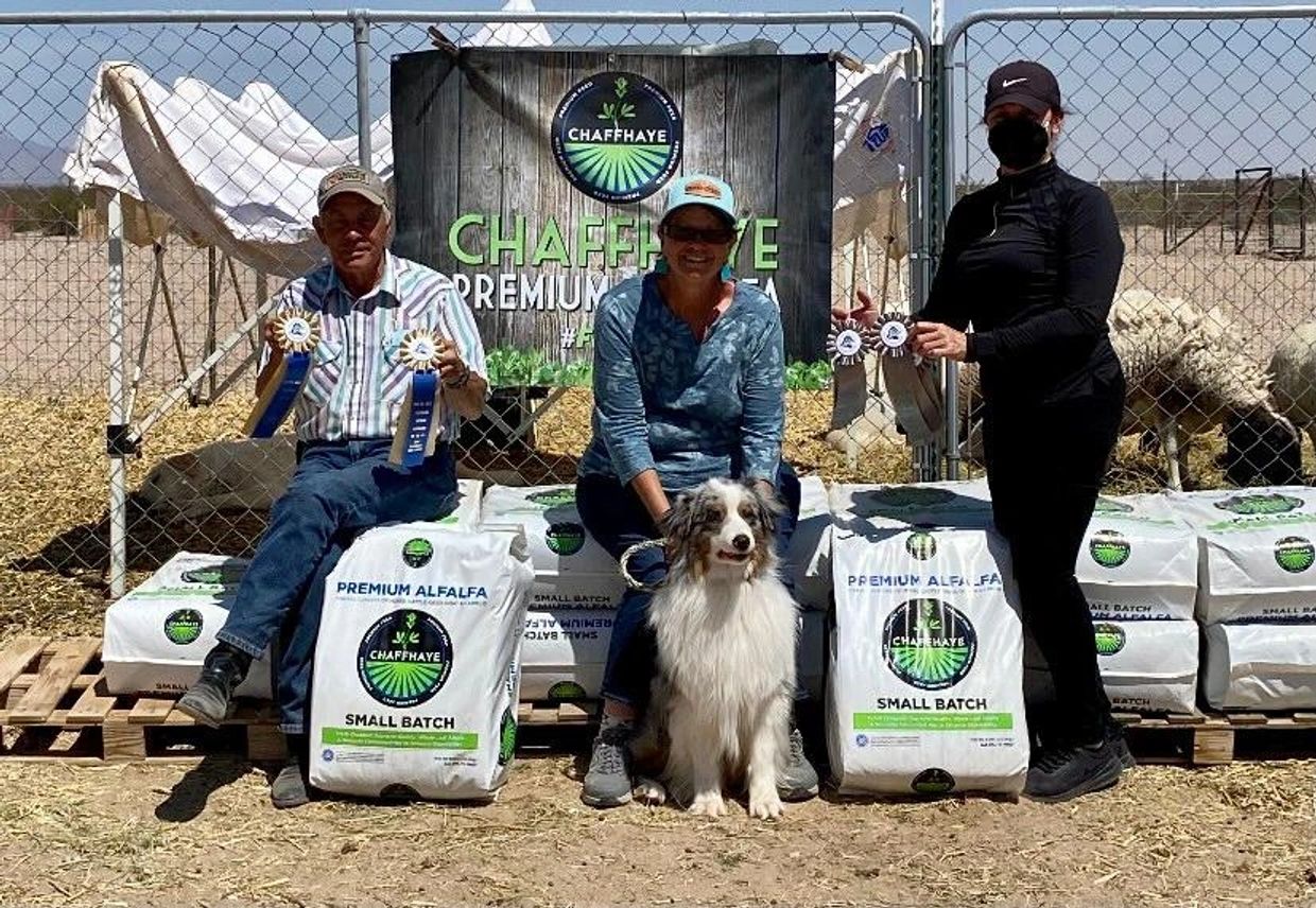 Cash with Laura and judges win picture