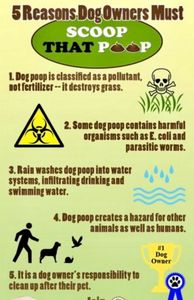 why you scoop the poop