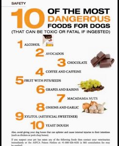 dangerous foods