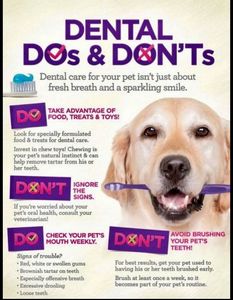 dental do's and don'ts