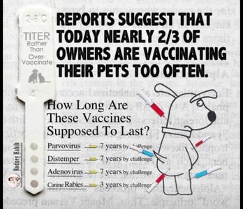 Too much vaccines are not necessary