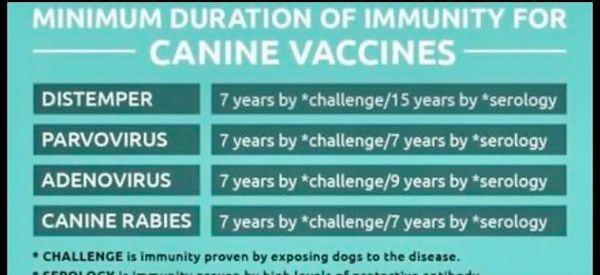 minimum durtion of immunity for vaccines