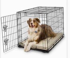 wire crate
