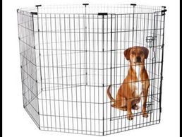 puppy exercise pen