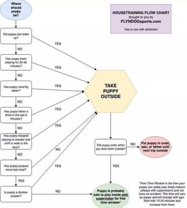 Potty training chart