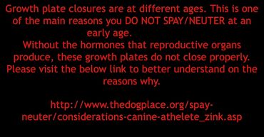 growth plate closure info