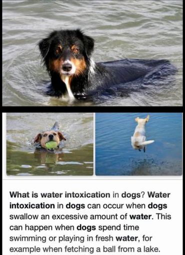 water intoxication info