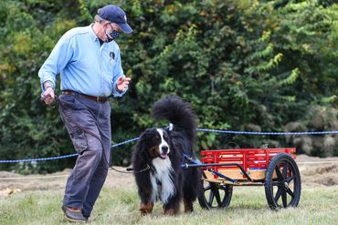 Pulling a heavy load