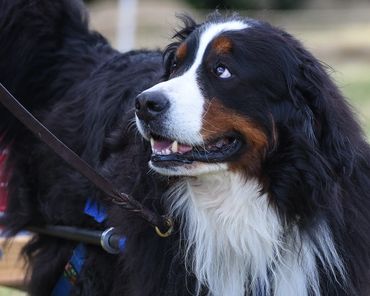 Handsome and athletic!