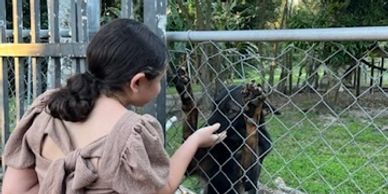 Rachel and Frieda - Animal whispering