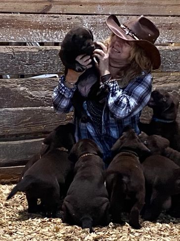 Addicted to Chocolate! Tara is Labrador Puppy Heaven!!!