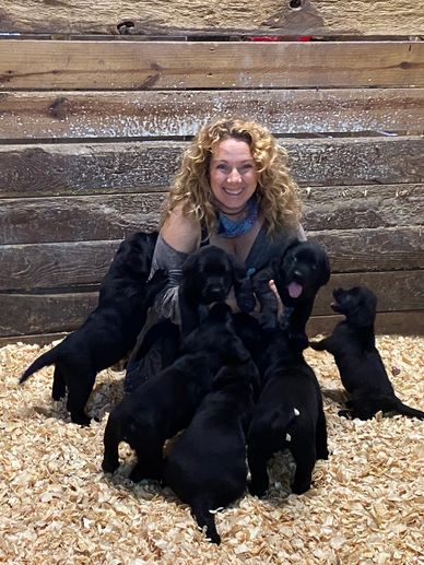 I'm in black Labrador Puppy heaven!