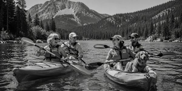 Two couples kayaking on a mountain lake with a dog.