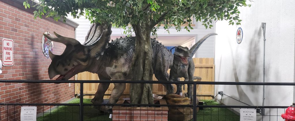 Triceratops
Velociraptor
Dinosaur in Lubbock,Tx