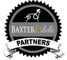 Mini goldendoodle and mini bernedoodle training