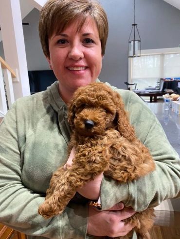 A woman smiling and holding a fluffy brown puppy indoors.