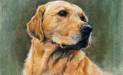 Honey Pastel 13" x 11"