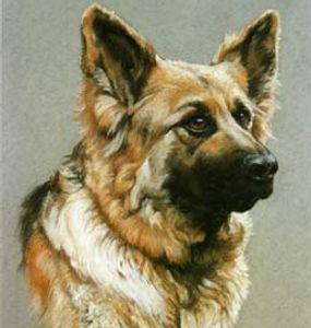 Rhumba Pastel 13" x 11"