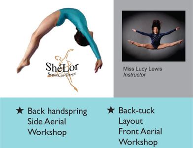 A poster on Summer Acrobatic Workshop