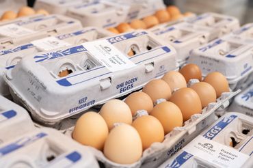 Cartons of pasture-raised eggs in a grocery store display.