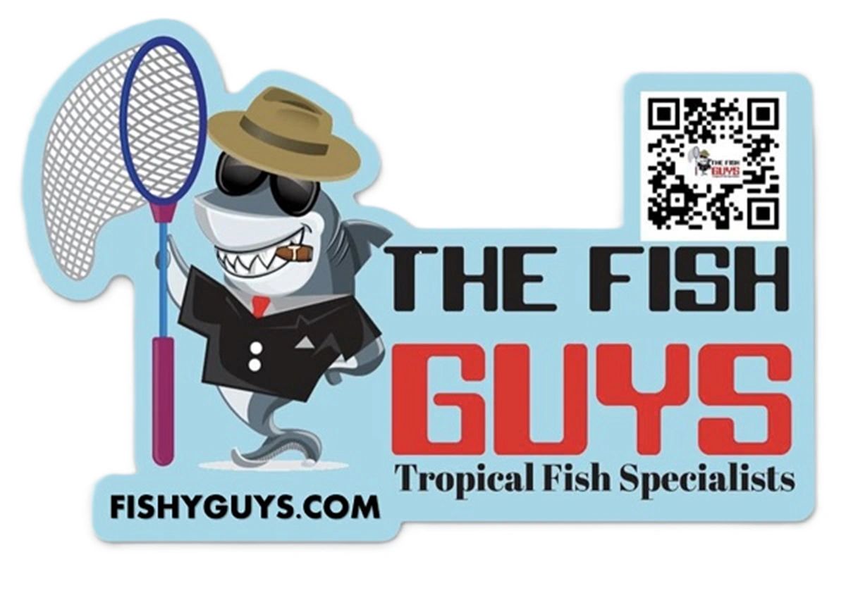 accreditation clipart fish