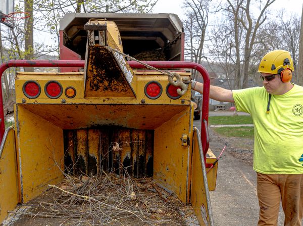 Worker in protective gear standing next to a wood chipper with branches inside.