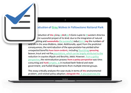 professional proofreading example