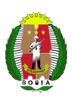 Emblem featuring a soldier, stars, green leaves, and the word 'STEADFAST'.