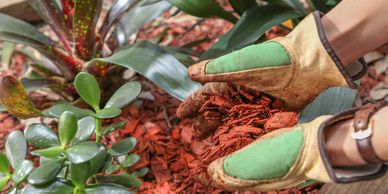 Hands with gardening gloves placing red wood chips in a garden surface