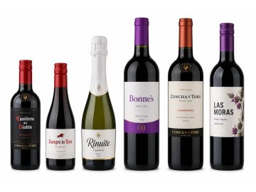 Variedad de seis botellas de vino de diferentes tipos y etiquetas.