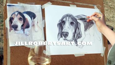 Jill Roberts drawing a basset hound pen and ink.
