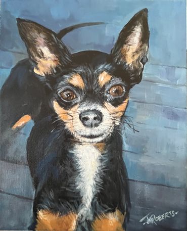 Painting of black chihuahua on canvas by Jill Roberts pet portrait painter artist. Anza, CA