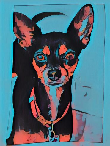 Painting of black chihuahua in pop art style. black, teal blue, hot red coral by Jill Roberts