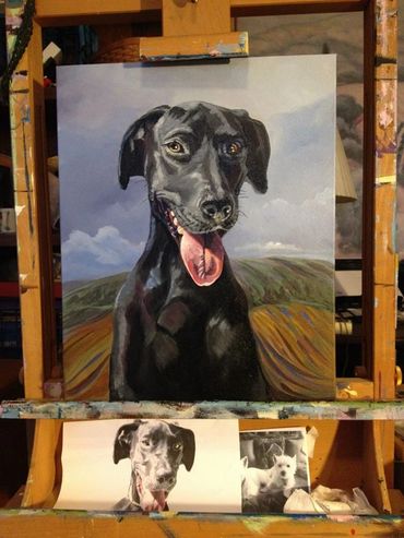 Painting of black labrador dog on canvas by Jill Roberts pet portrait painter artist.
