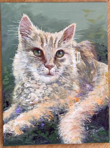Painted fluffy cat beige, orange, purples, green eyes. acrylic on canvas by JILL ROBERTS