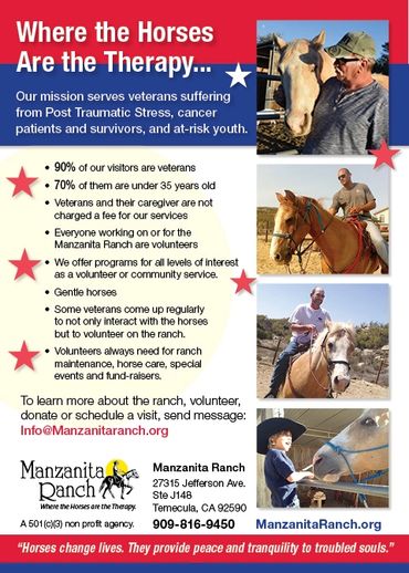 red, white blue postcard designed for nonprofit horse therapy with veterans, photos of horses