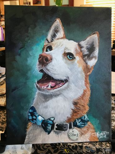 Painting of husky, brown, white blue eyes teal bow tie, collar. acrylic on canvas. Jill Roberts