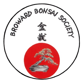 Broward Bonsai Society