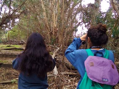 Students observing birds during an outdoor science field activity