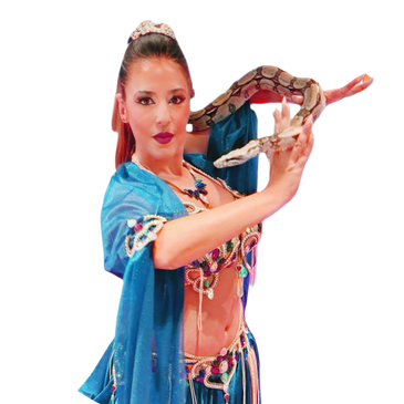 Bellydancer holding a red tail boa constrictor.