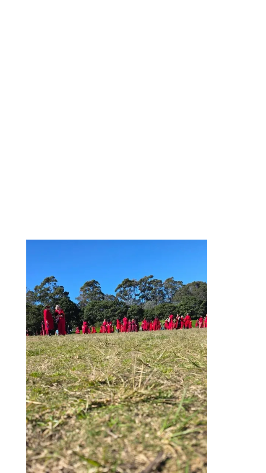 People dressed in red on a field under a blue sky.