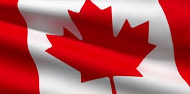 Canadian made, stainless steel cabinet, stainless steel bbq, outdoor living