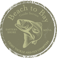 Beach to Bay Guide Service