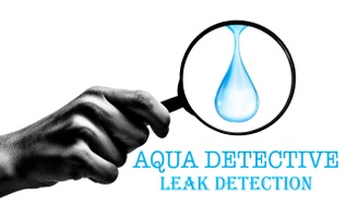 Aqua Detective Leak Detection 