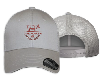 Gorra modelo bala bordada con malla