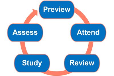 Study cycle for optimizing study habits