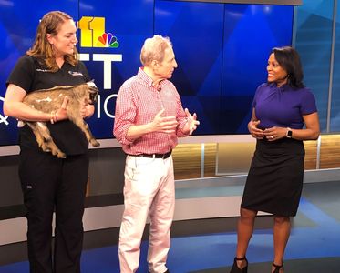 Goat Yoga on TV
