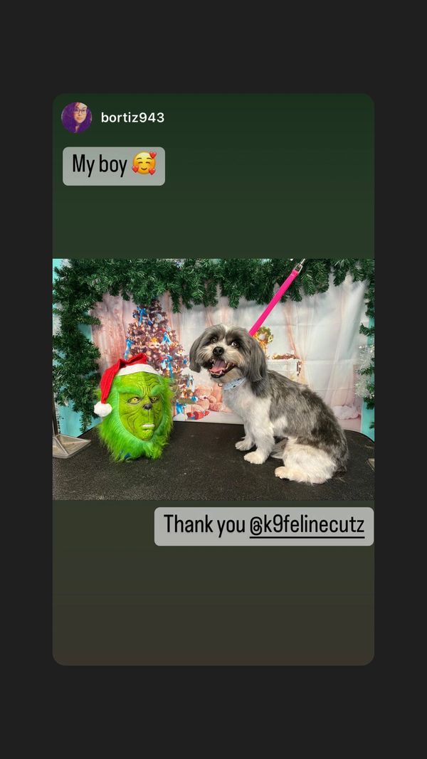 a screenshot of Feedback from a client,puppy  posing with the grinch after his groom was done.