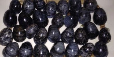 kupee shell, native hawaiian gathering rights, hawaiian shell lei, black shells, nerite shell