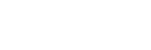 Development Insights 2021